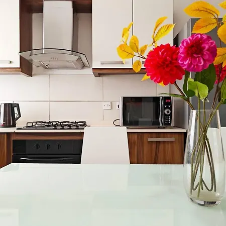 Speranza 2 그지라