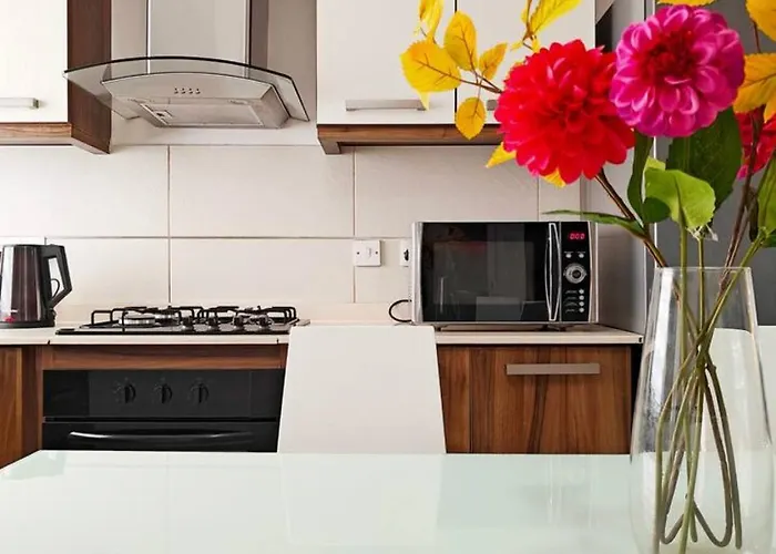 Speranza 2 그지라